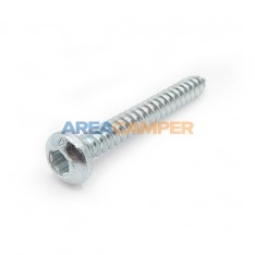 Domed screw 4.2x38 mm for...