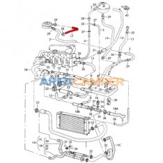 Coolant hose from oil cooler to cylinder block