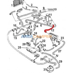 Radiator hose on right cylinder head