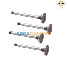 Set of 4 exhaust valves...