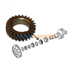 Timing gear for crankshaft, 1900 CC and 2100 CC