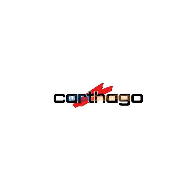 Decal Carthago