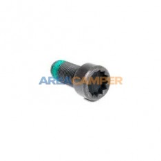 Flywheel bolt M10x1.0x22.3 mm